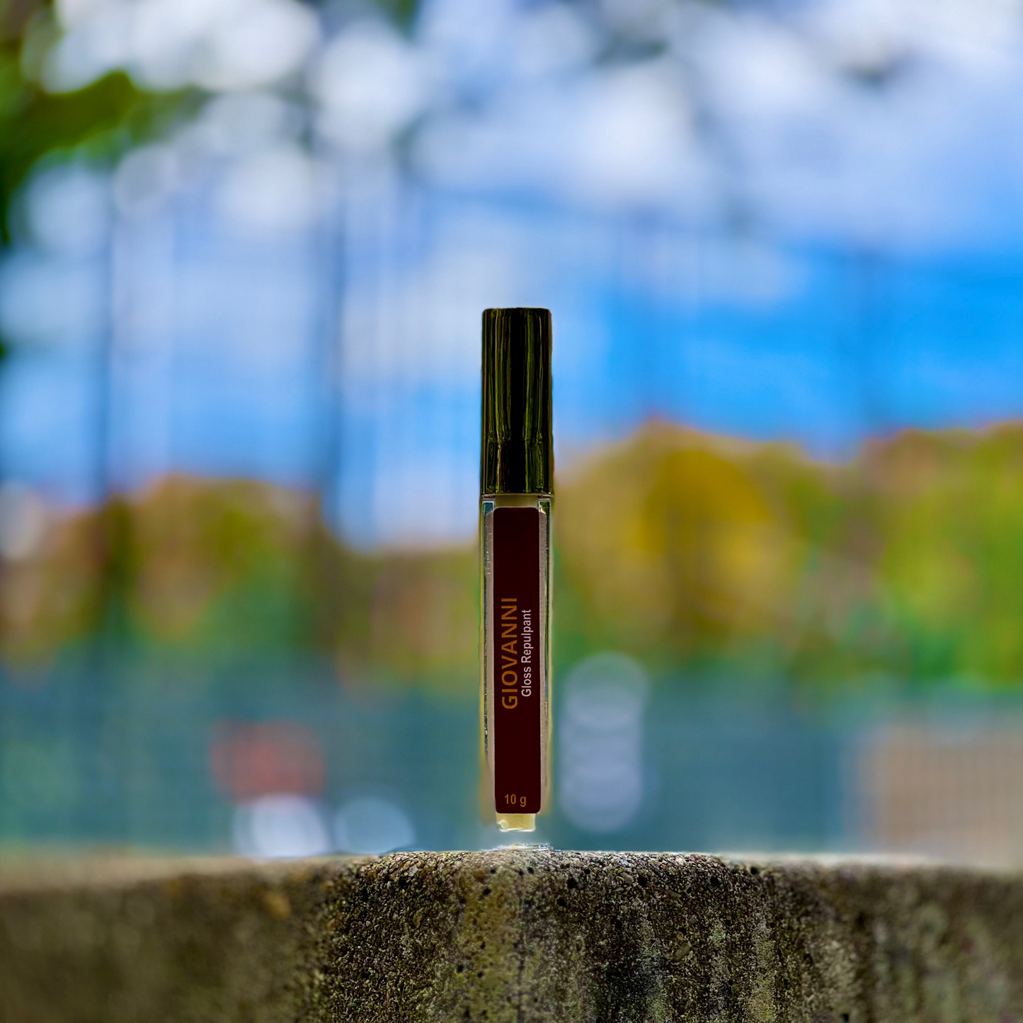 Gloss repulpant