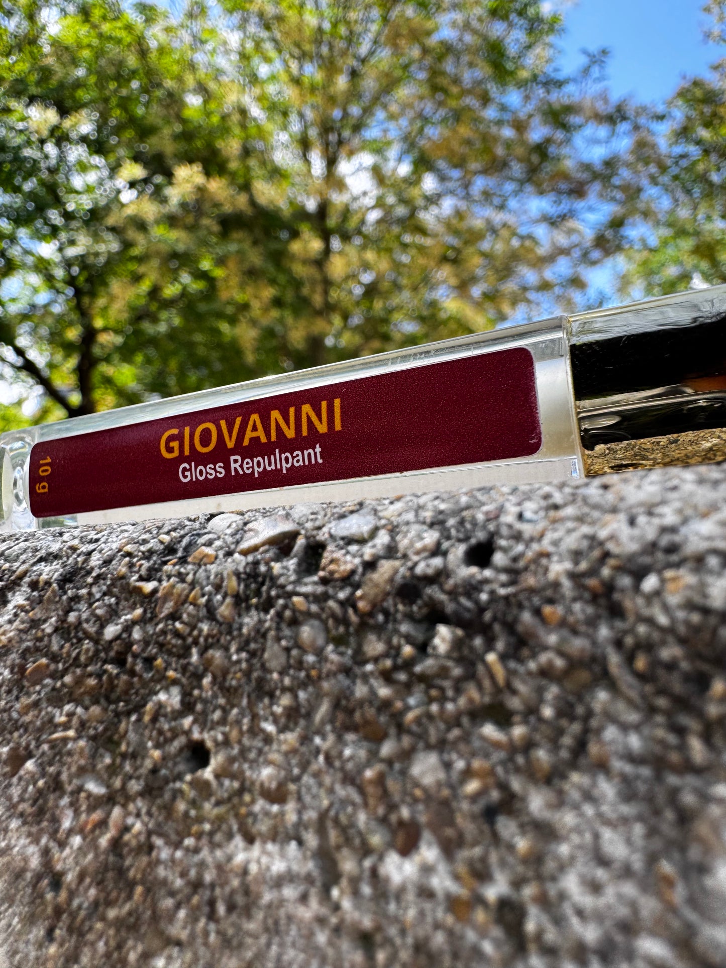Gloss repulpant